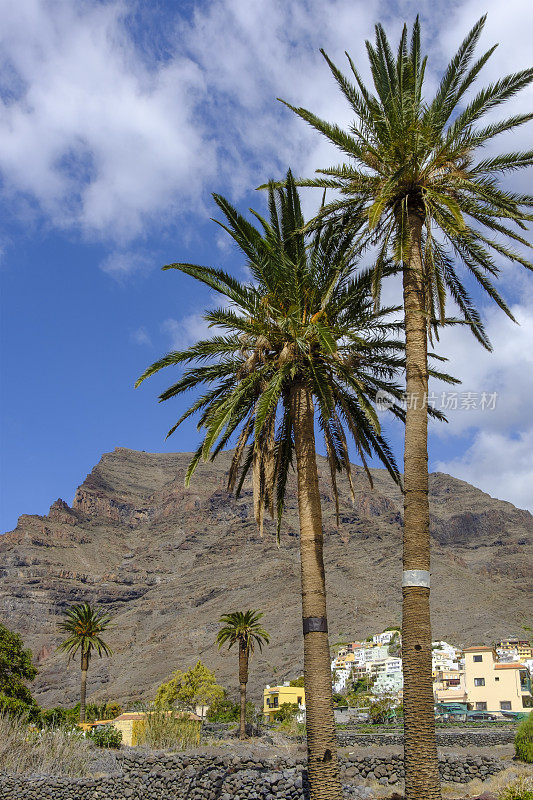 拉戈梅拉，加那利群岛(E)-Valle Gran Rey, La Calera